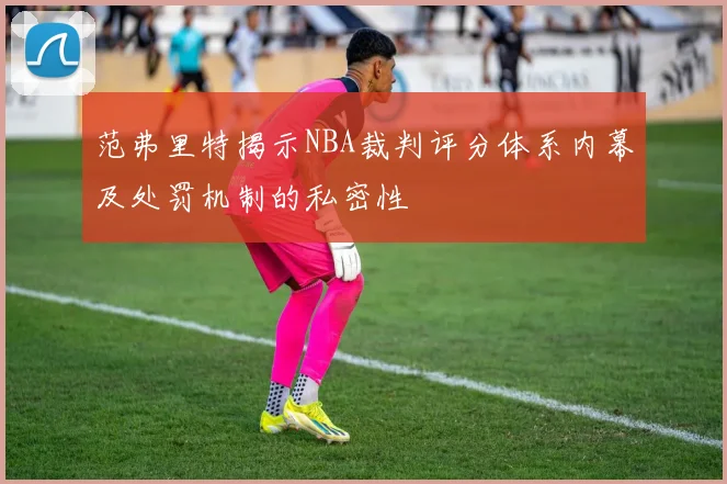 范弗里特揭示NBA裁判评分体系内幕及处罚机制的私密性
