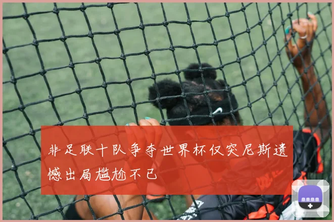 非足联十队争夺世界杯仅突尼斯遗憾出局尴尬不已